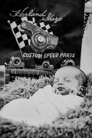 Brynn [proofs] 181