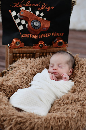 Brynn [proofs] 182
