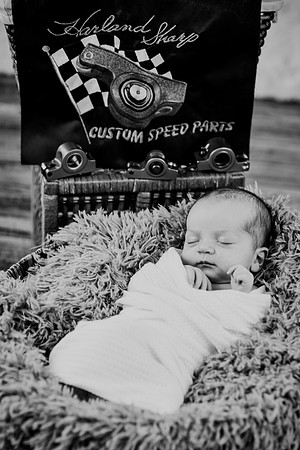 Brynn [proofs] 185
