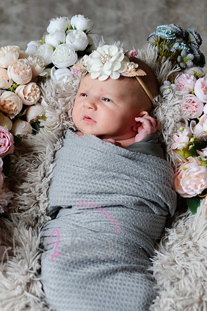 Amelia [newborn] images 038