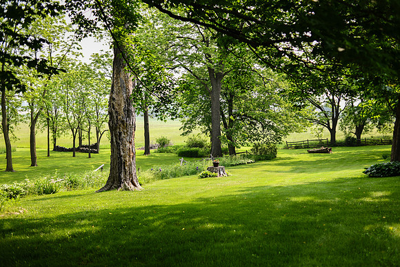 Carter & Marlah Wedding Photos [grounds] 043