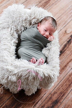 Anthony [newborn] 004