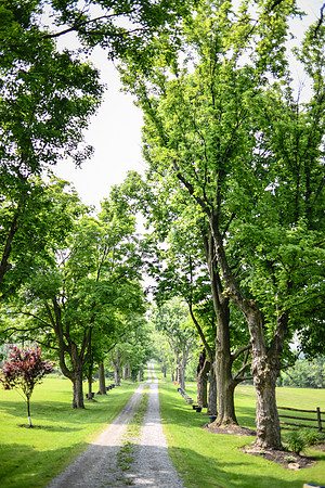 Carter & Marlah Wedding Photos [grounds] 020