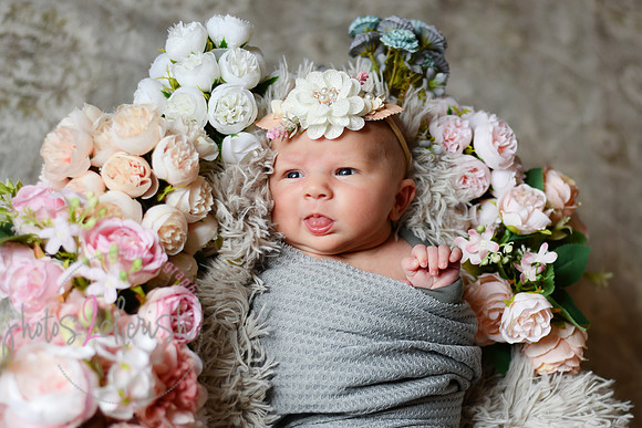Amelia [newborn] images 042