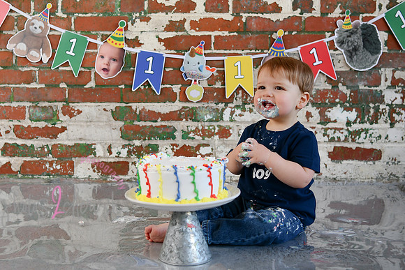 Logan 1st Birthday 236