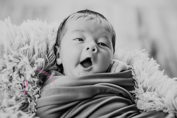 Anthony [newborn] 031