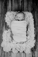 Noah Newborn 005