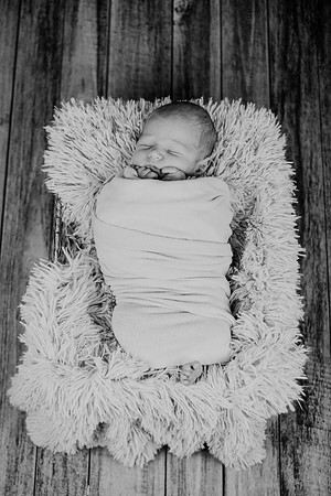 Noah Newborn 005