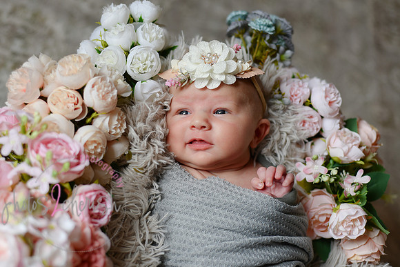 Amelia [newborn] images 041