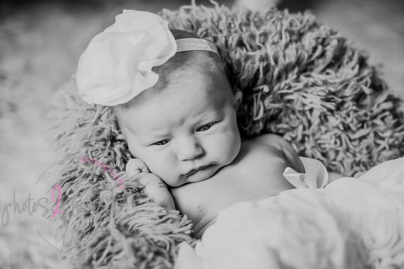 Amelia [newborn] images 053