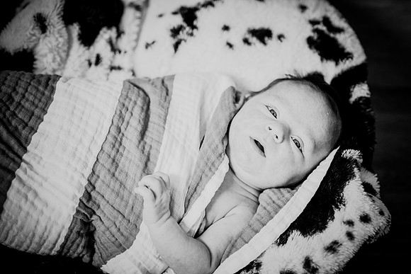 hunter [proofs] 15