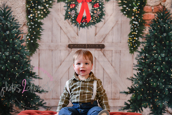 Logan 1st Birthday 012