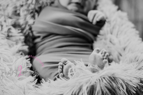 Anthony [newborn] 035