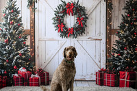 Sublett Family [Holiday 2024] 11