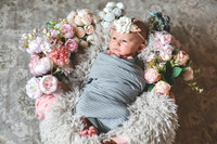 Amelia [newborn] images 013