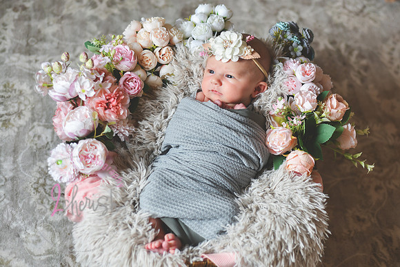 Amelia [newborn] images 013