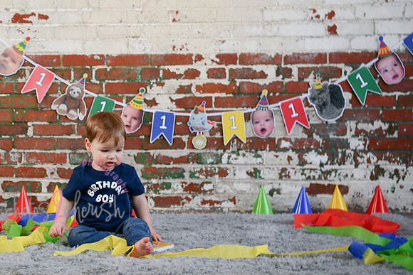 Logan 1st Birthday 063