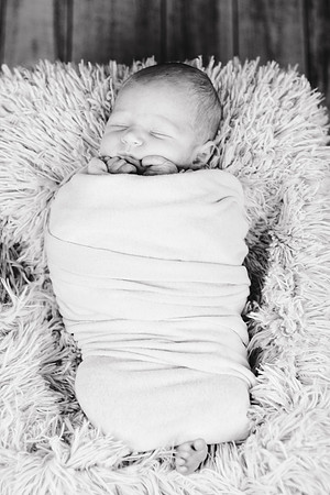 Noah Newborn 049