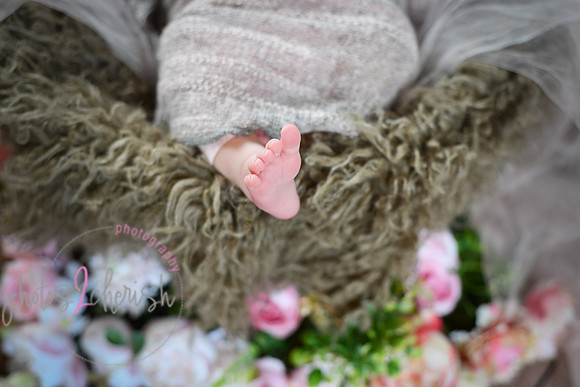 tiny nb [peek] 12