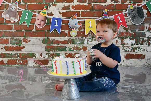 Logan 1st Birthday 234