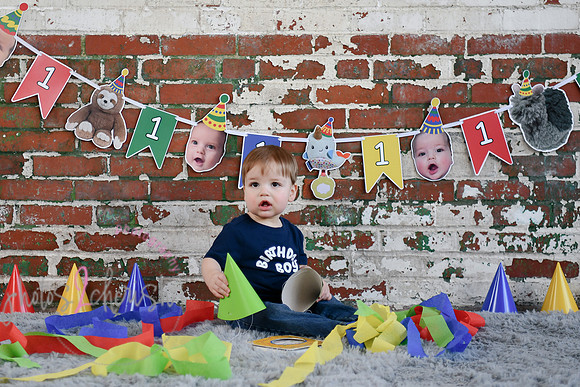 Logan 1st Birthday 076