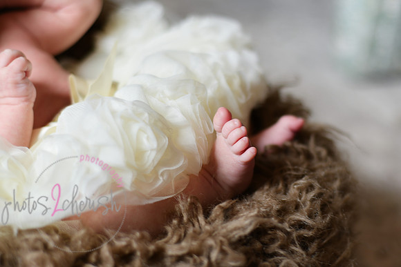 Amelia [newborn] images 076