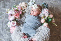 Amelia [newborn] images 014