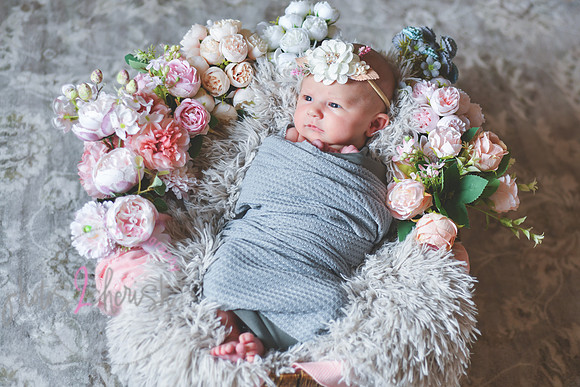 Amelia [newborn] images 014