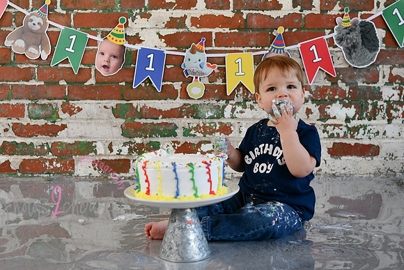 Logan 1st Birthday 241