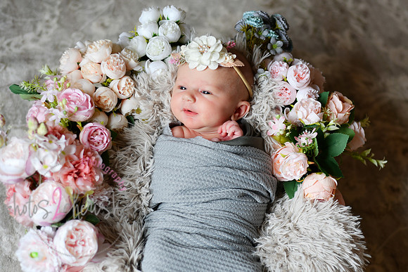 Amelia [newborn] images 029