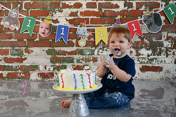 Logan 1st Birthday 229