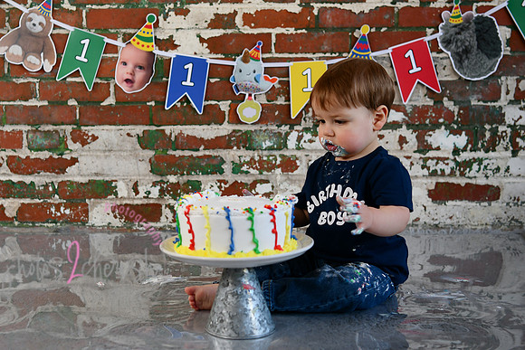 Logan 1st Birthday 216