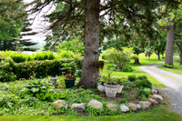 Carter & Marlah Wedding Photos [grounds] 003