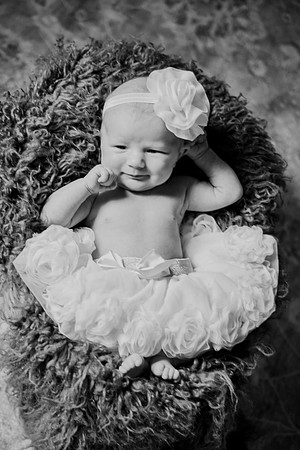 Amelia newborn images 079