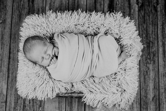 Noah Newborn 038