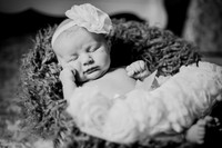 Amelia newborn images 072