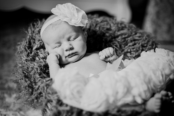 Amelia newborn images 072