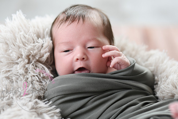 Anthony [newborn] 022