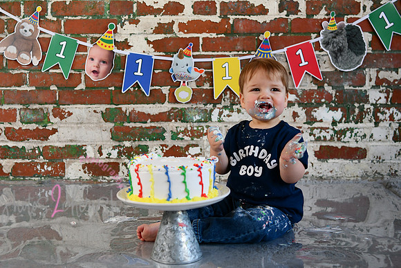 Logan 1st Birthday 226