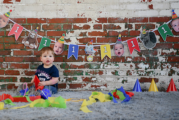 Logan 1st Birthday 082