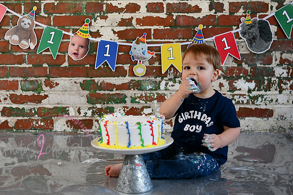 Logan 1st Birthday 220