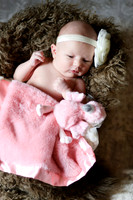 Amelia newborn images 099