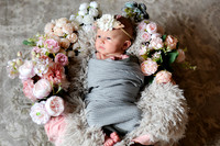 Amelia [newborn] images 003