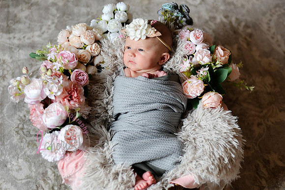 Amelia [newborn] images 003