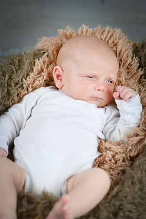 Lincoln [newborn] 063