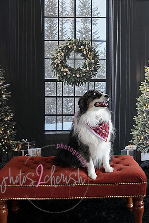 Holiday 2024 63