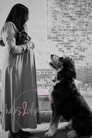 Maternity Session [peek] 37