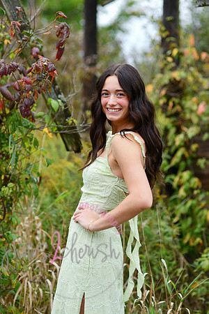 Kate [2025] proofs 088