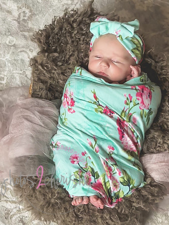 Amelia [newborn] images 128