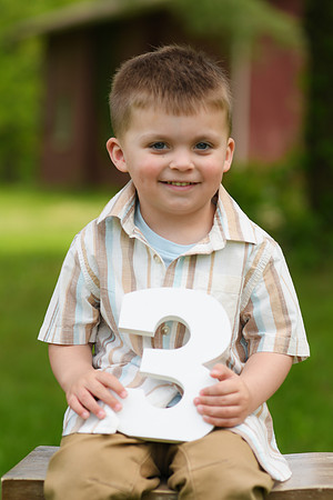 Coleson Turns Three 031
